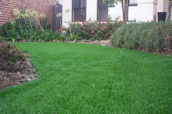 Rose back door view artificial grass