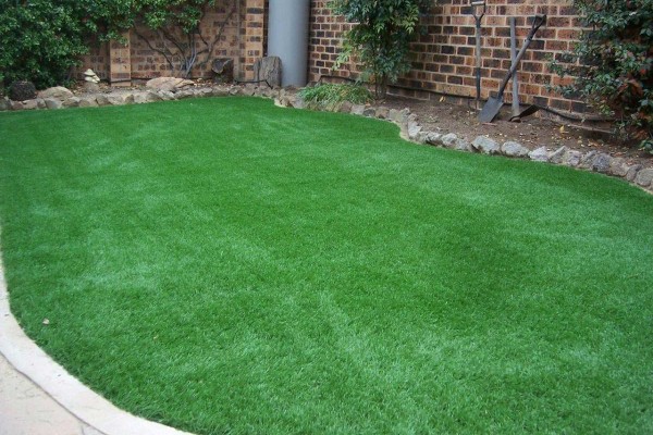 Backyard artificial grass