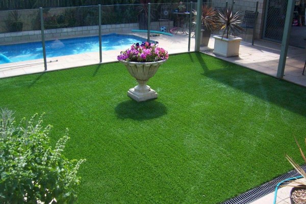Rose view artificial grass