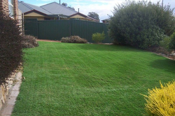 Leisure lawns artificial grass 5
