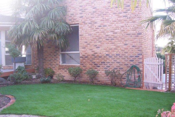Palm tree view artificial grass